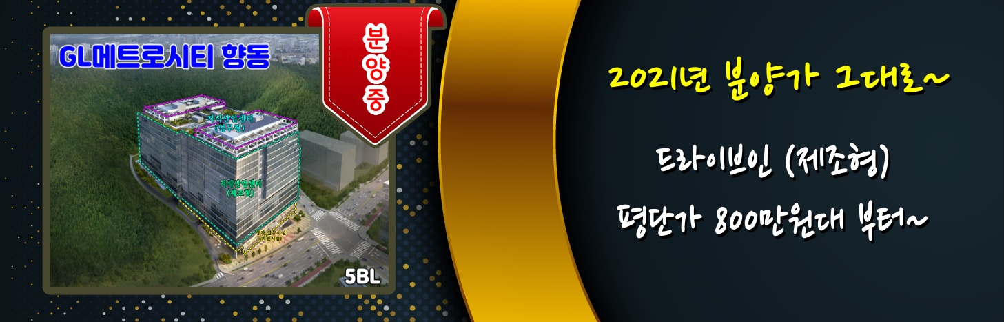 메트로시티향동